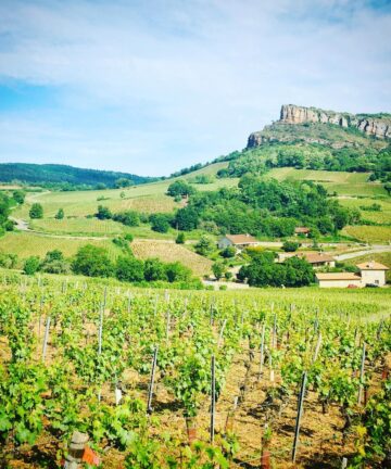 Route des vins Bourgogne, Visiter Dijon, Guide Dijon, Visiter Bourgogne