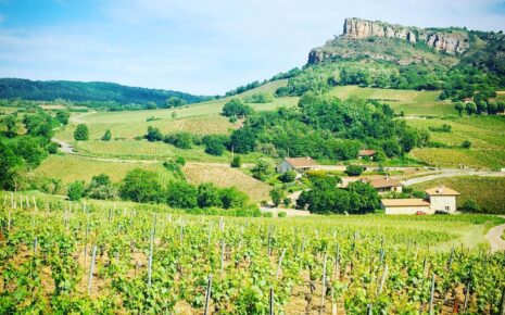 Route des vins Bourgogne, Visiter Dijon, Guide Dijon, Visiter Bourgogne