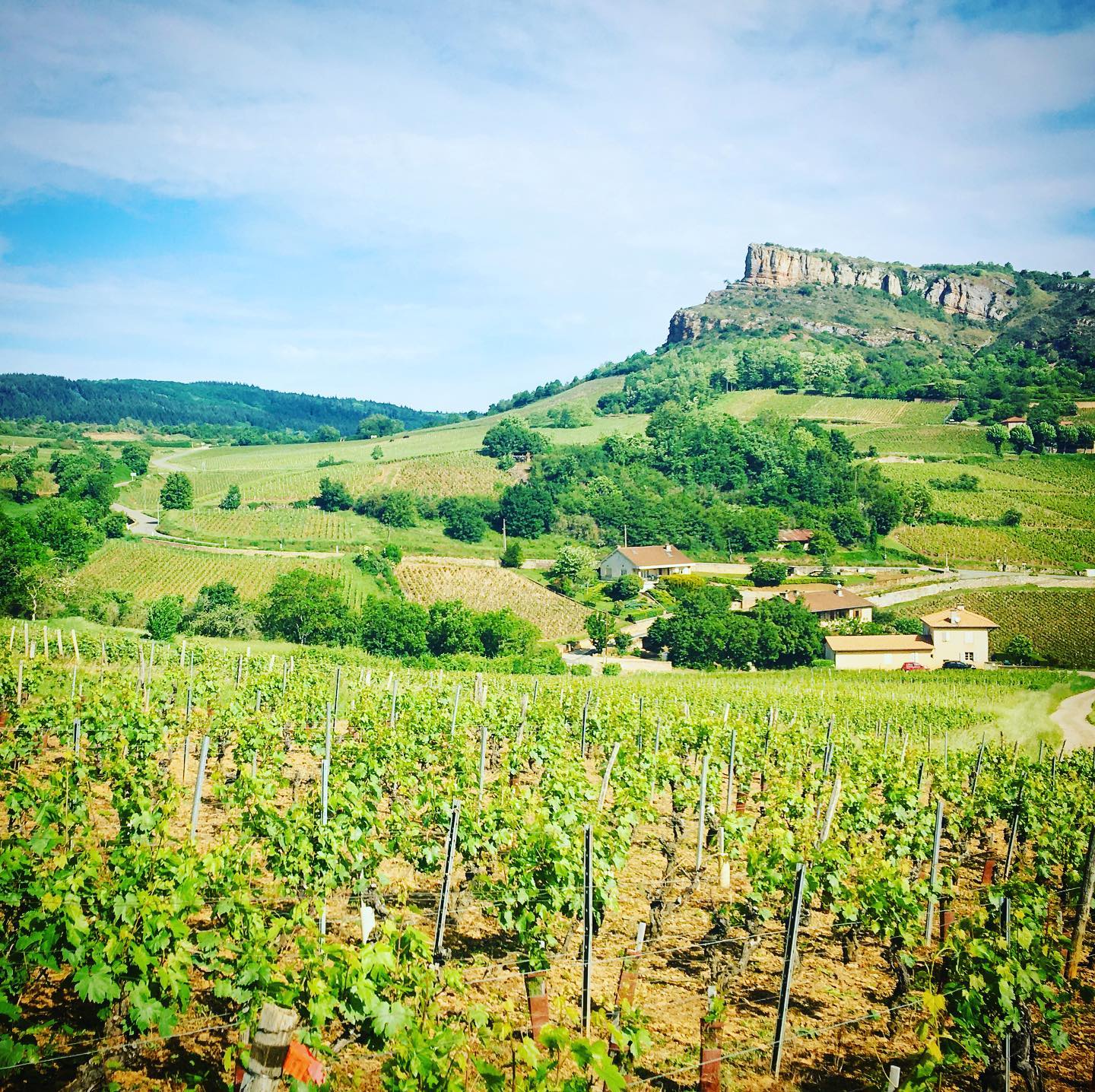 Route des vins Bourgogne, Visiter Dijon, Guide Dijon, Visiter Bourgogne