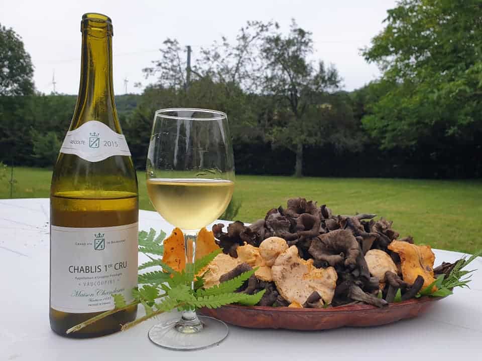 Route des vins Bourgogne, Visiter Dijon, Guide Dijon