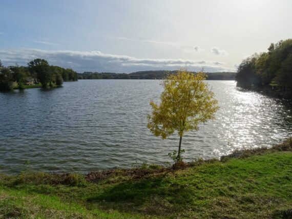 Visite de Bain de Bretagne