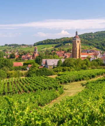 Guide Arbois, Visite Arbois