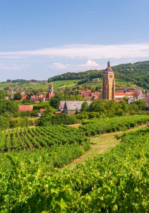 Guide Arbois, Visite Arbois