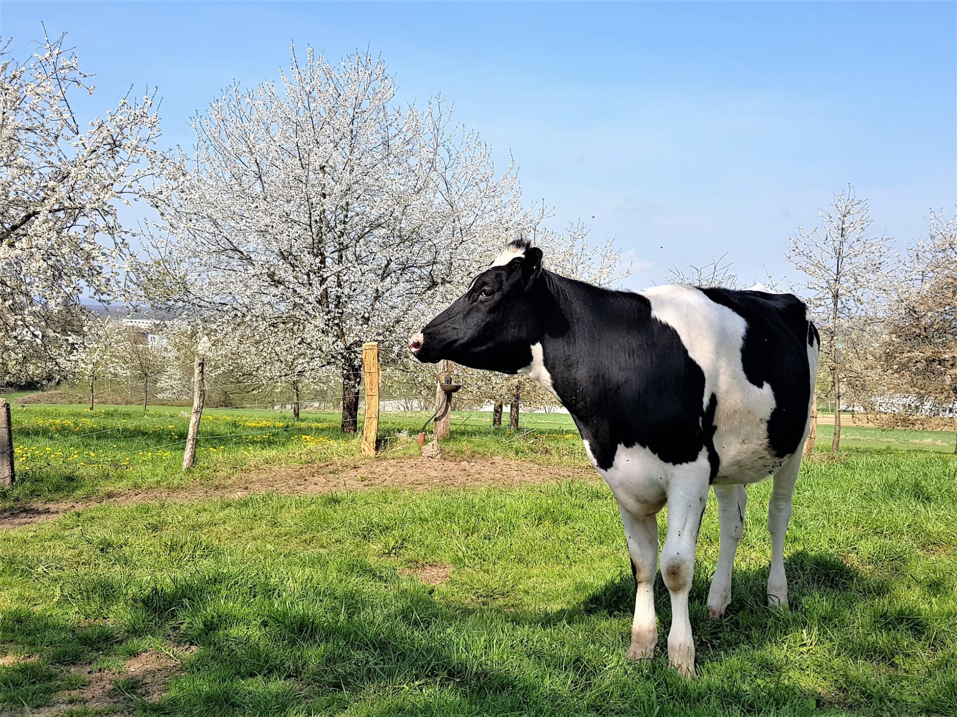 Guide Fougerolles Guide Fougerolles, Bourgogne