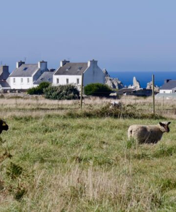 Visite de l'ile d'ouessant