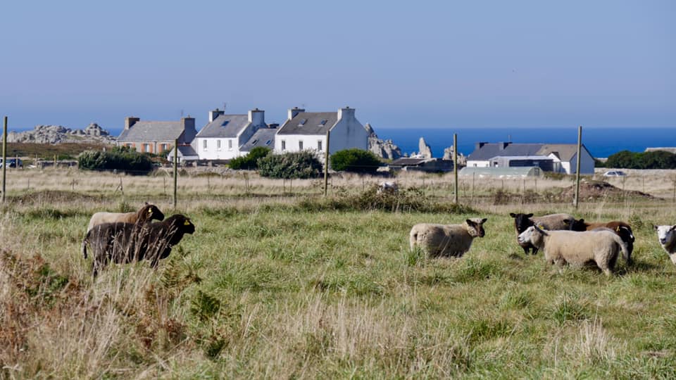 Ile d'Ouessant Visite de l'ile d'ouessant