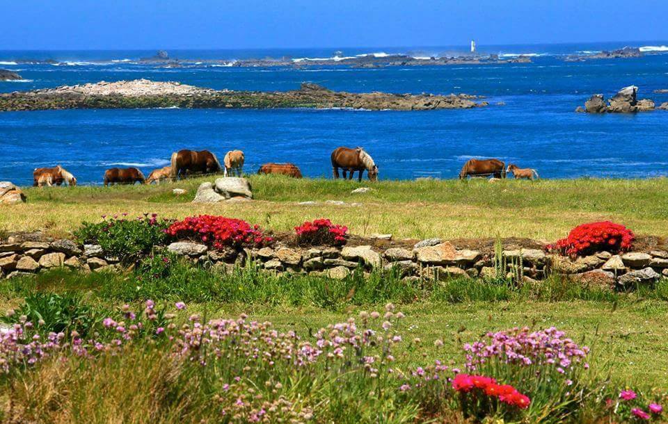 Ile de Breat Visite de Ile de Breat