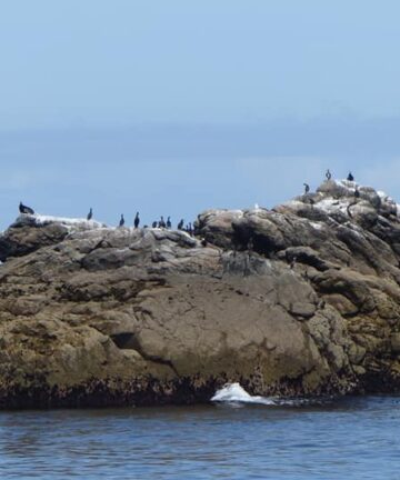 Visite de Ile de Sein