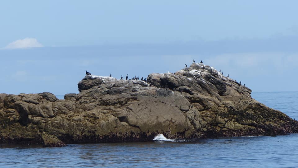 Ile de Sein Visite de Ile de Sein