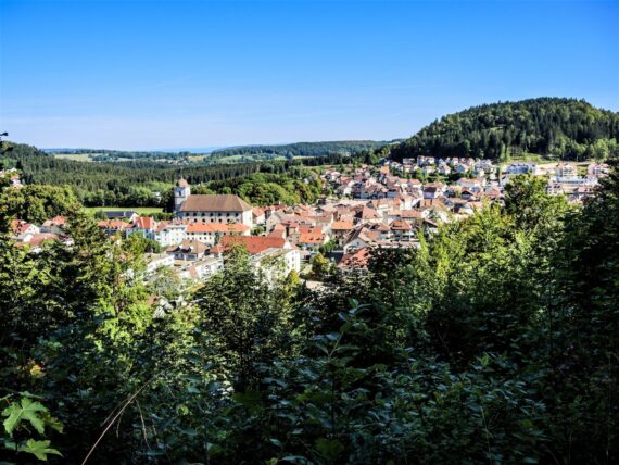 Visite de Maîche