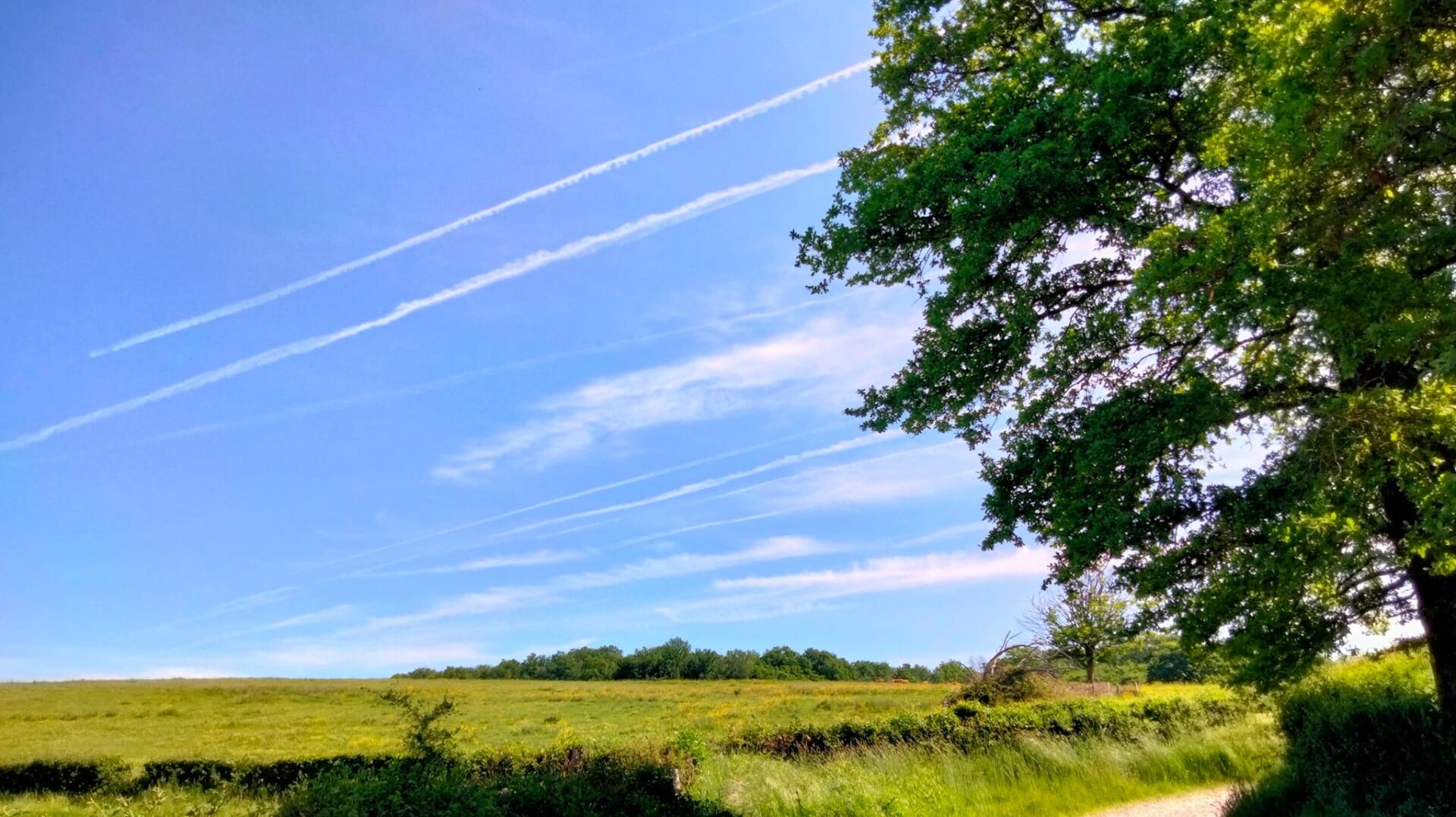 Guide Marigny Eglise *** Visite Privée (2h) Guides de France