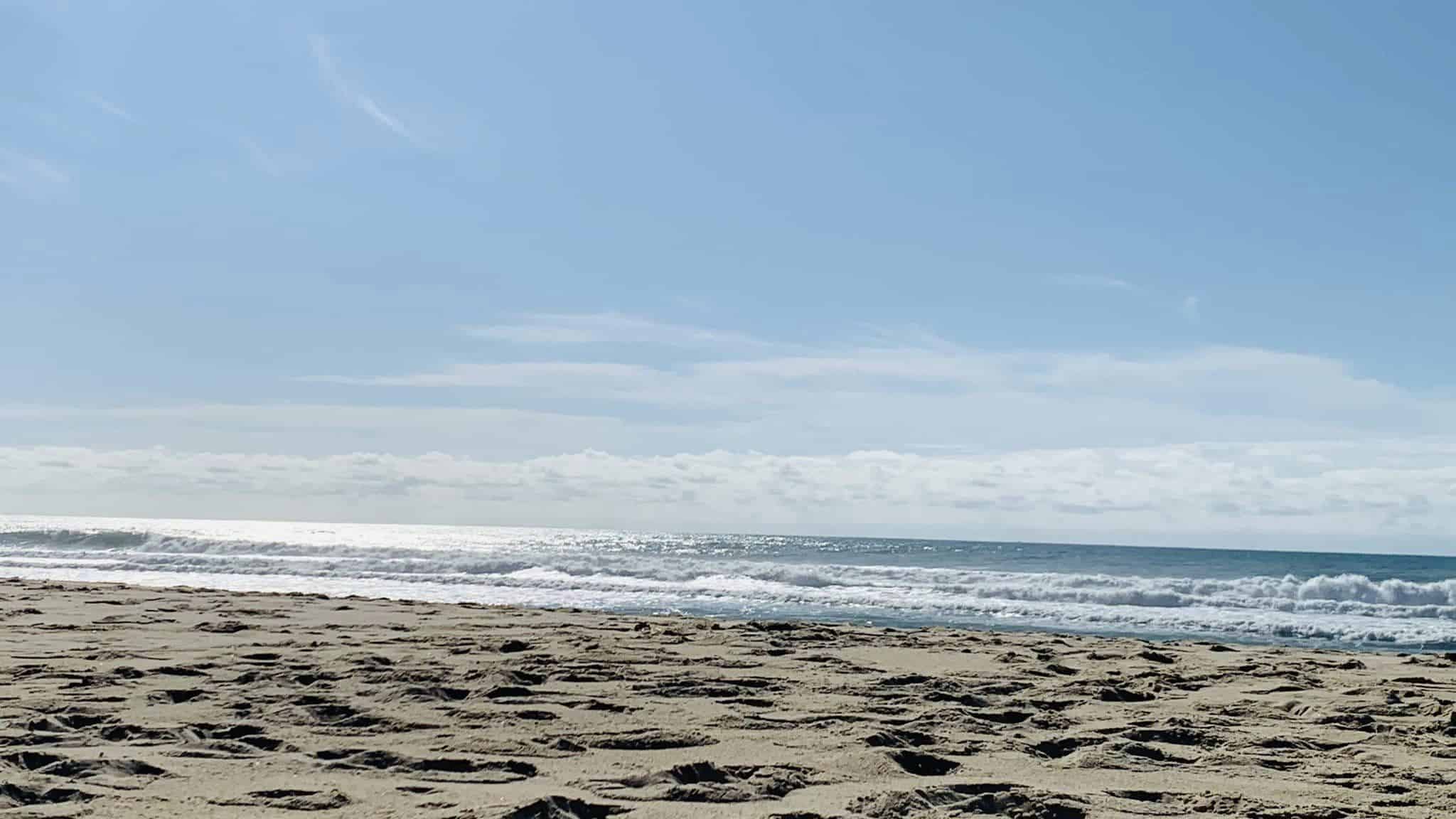 Medoc Visite de Medoc