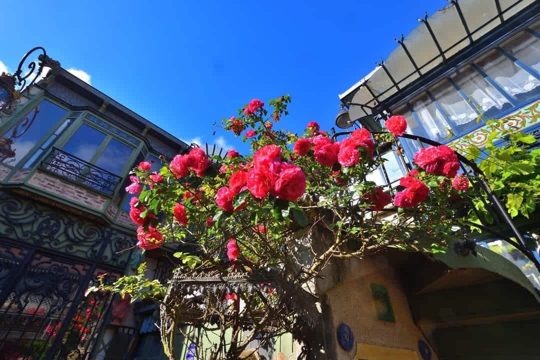 Torcy par Patrick Deygout Visite de Torcy