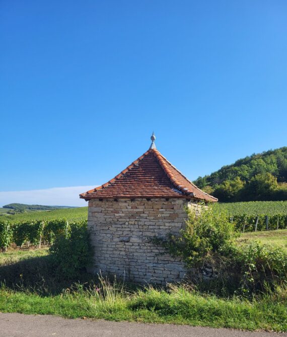 Guide Arbois, Visite Arbois