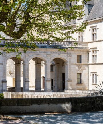 Chateau de Pau, Visiter Pau