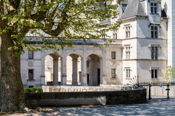 Chateau de Pau, Visiter Pau