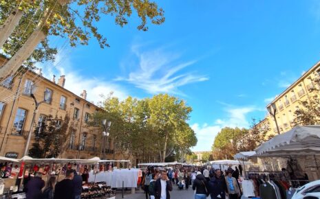 Visiter Aix-en-Provence à pied, Cours Mirabeau, Aix en Provence, Visiter Aix en Provence, Visite Guidée Aix en Provence