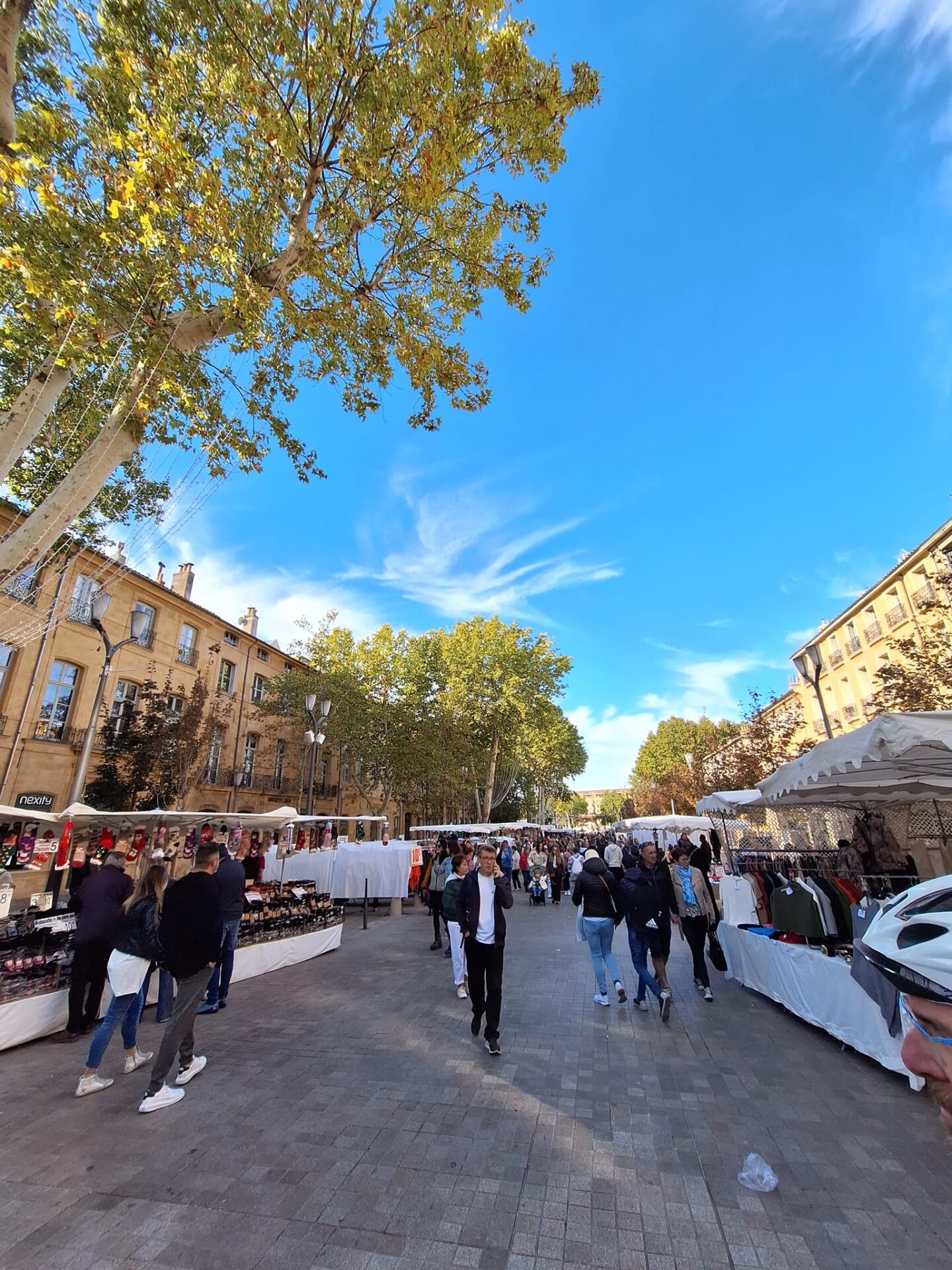 Visiter Aix-en-Provence à pied, Cours Mirabeau, Aix en Provence, Visiter Aix en Provence, Visite Guidée Aix en Provence