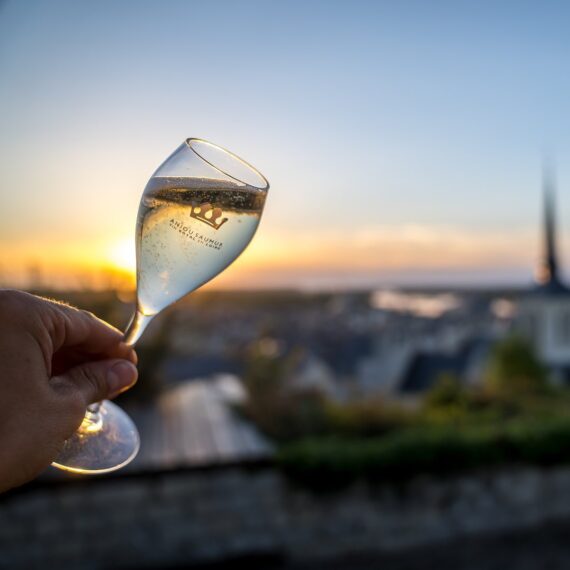 Visite de Saumur, Guide Saumur, Visiter Saumur, Visite Guidée Saumur