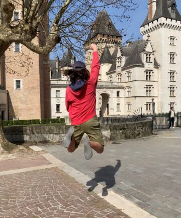 Chateau de Pau, Visiter Pau