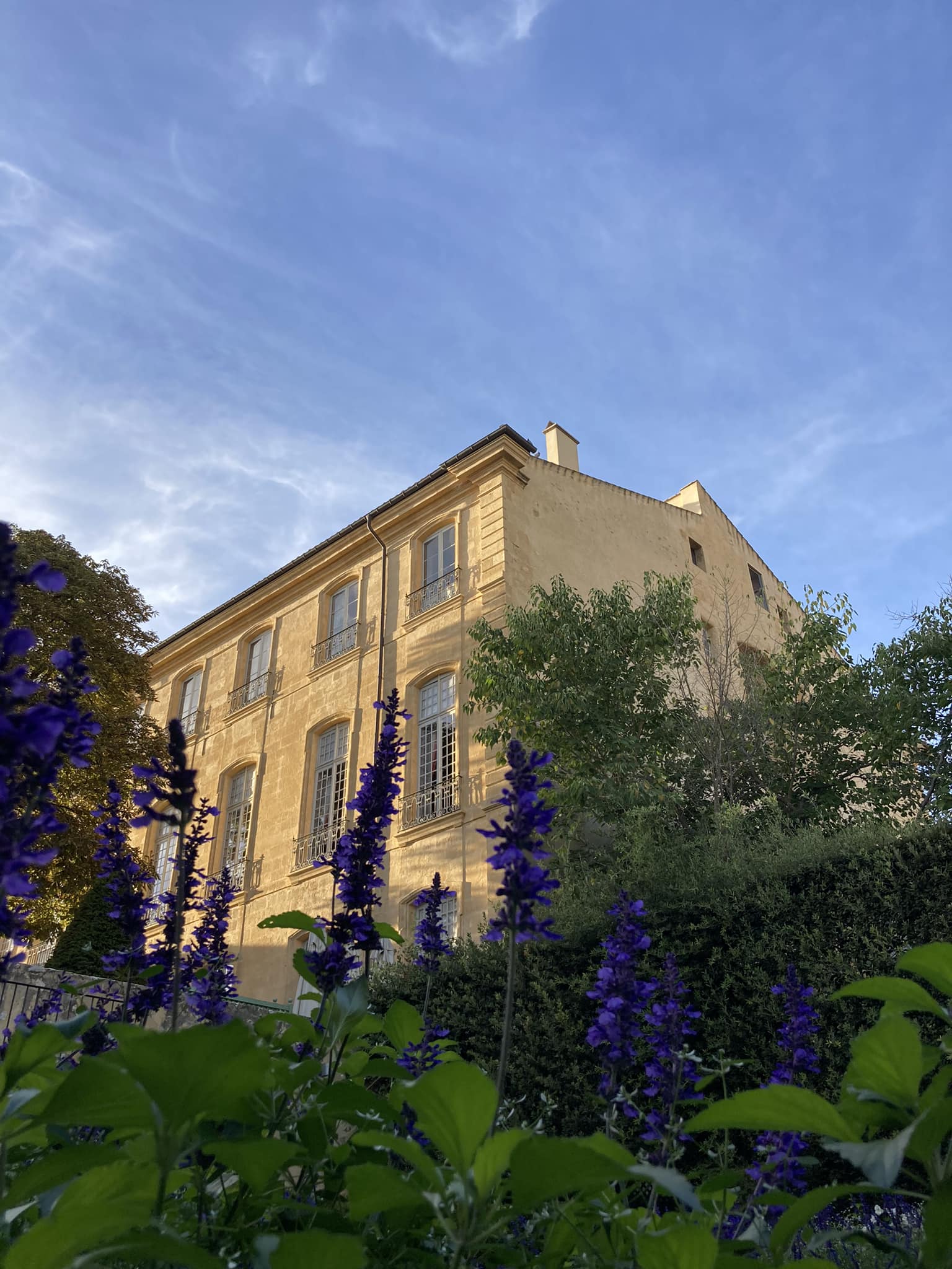 Hotel de Caumont, Guide Aix en Provence, Visiter Aix en Provence, Visite Guidée Aix en Provence