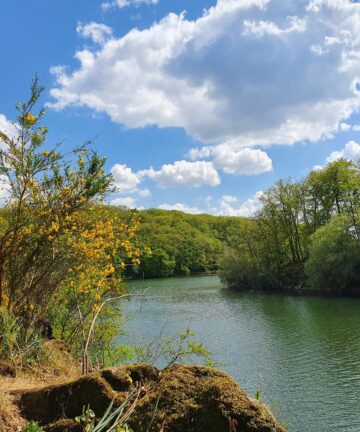 Visite de Mervent, Vendée Tourisme, Guide Mervent