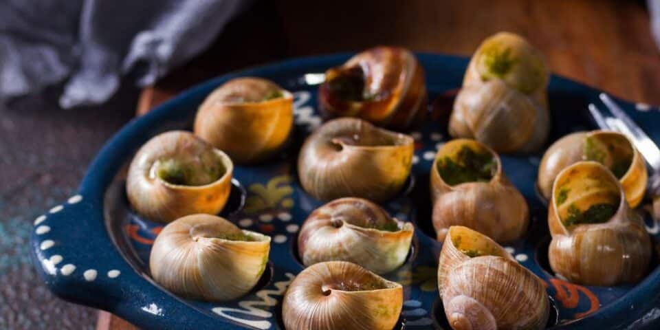 Escargots de Bourgogne