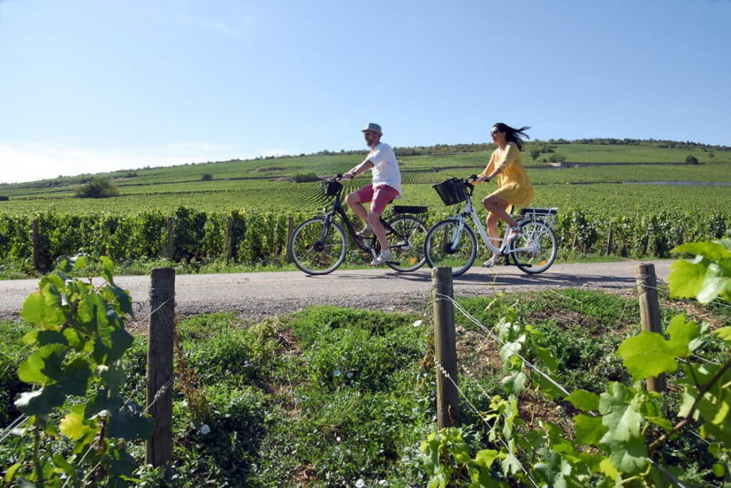 Visiter Bourgogne, Route des Vins