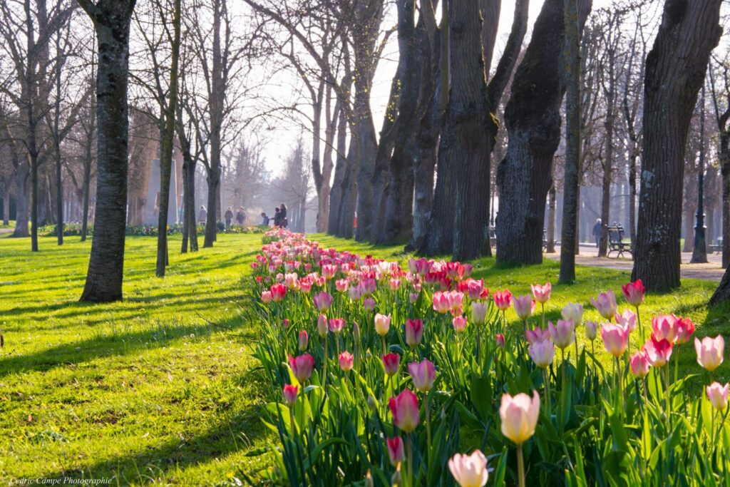 Guide Poitiers, Visiter Poitiers, Parc de Blossac, Poitiers Tourisme