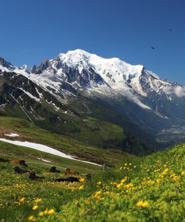 Excursion Mont Blanc, Visiter Mont Blanc, Tourisme Mont Blanc