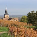 Visiter Alsace, Route des Vins Alsace