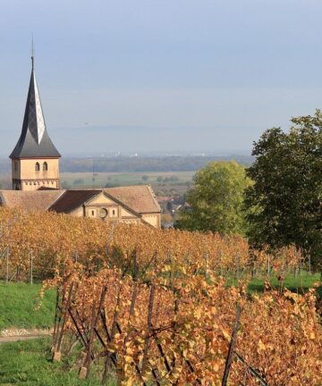 Visiter Alsace, Route des Vins Alsace