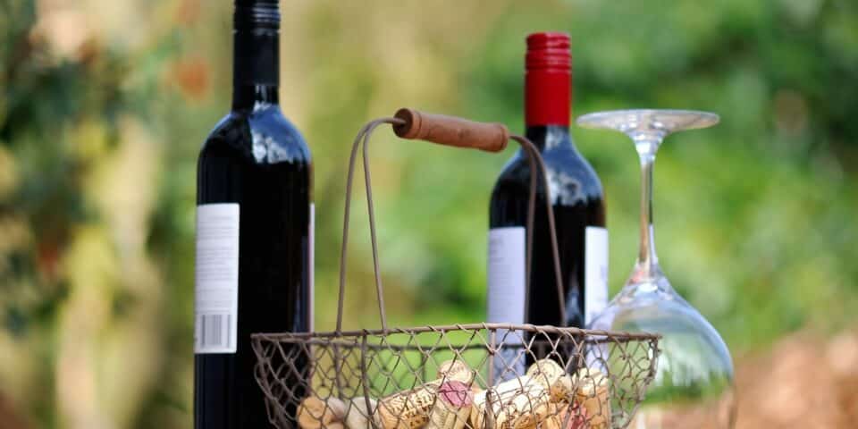 Excursion Vins du Beaujolais, Visiter le Beaujolais