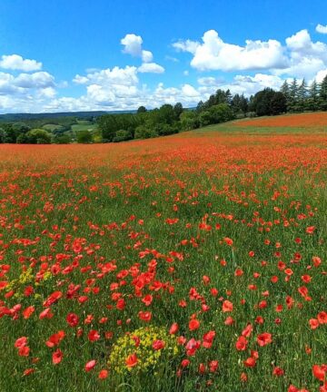 Guide Lurs, Visiter Lurs, Visite Luberon, Guide Luberon