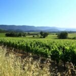 Visite de Sannes, Guide Luberon, Visiter Luberon, Guides Provence, Guide Provence