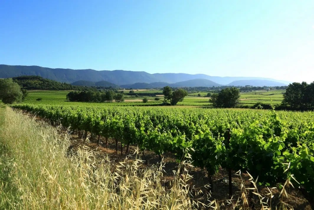 Visite de Sannes, Guide Luberon, Visiter Luberon, Guides Provence, Guide Provence