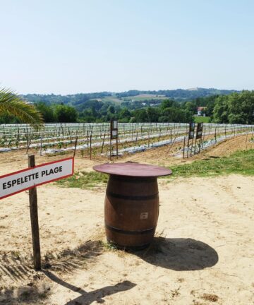 Guide Espelette, Visiter Espelette, Guide Pays Basque