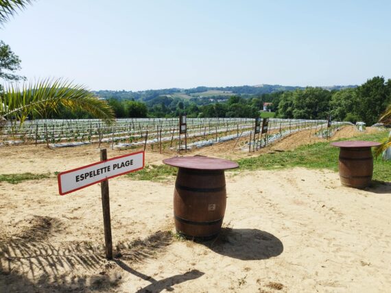 Guide Espelette, Visiter Espelette, Guide Pays Basque