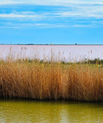 Visite de Salin de Giraud, Tourisme Camargue, Visiter Camargue, Guide Salin de Giraud