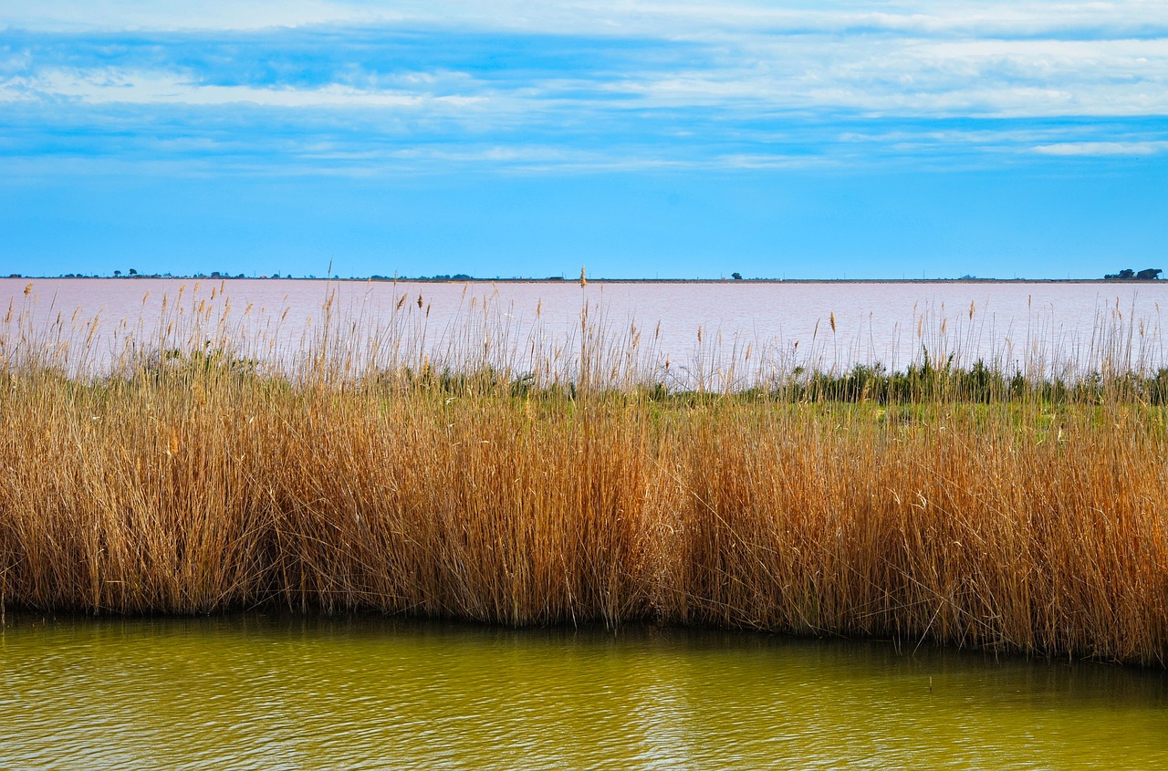 Visite de Salin de Giraud, Tourisme Camargue, Visiter Camargue, Guide Salin de Giraud