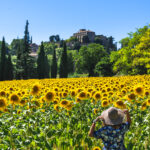 Guide Cucuron, Visite de Cucuron, Guide Provence, Guides Provence, Guide Luberon, Visiter Luberon