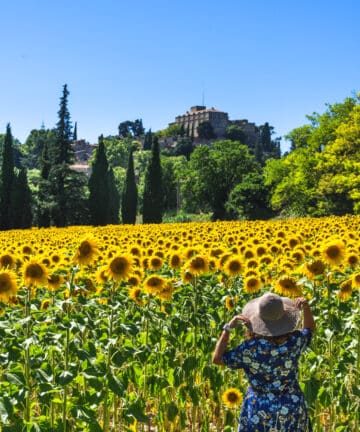 Guide Cucuron, Visite de Cucuron, Guide Provence, Guides Provence, Guide Luberon, Visiter Luberon