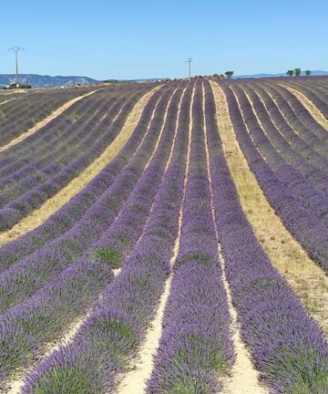 Guide Volx, Guide Luberon, Guide Provence, Guides Provence, Visiter Volx