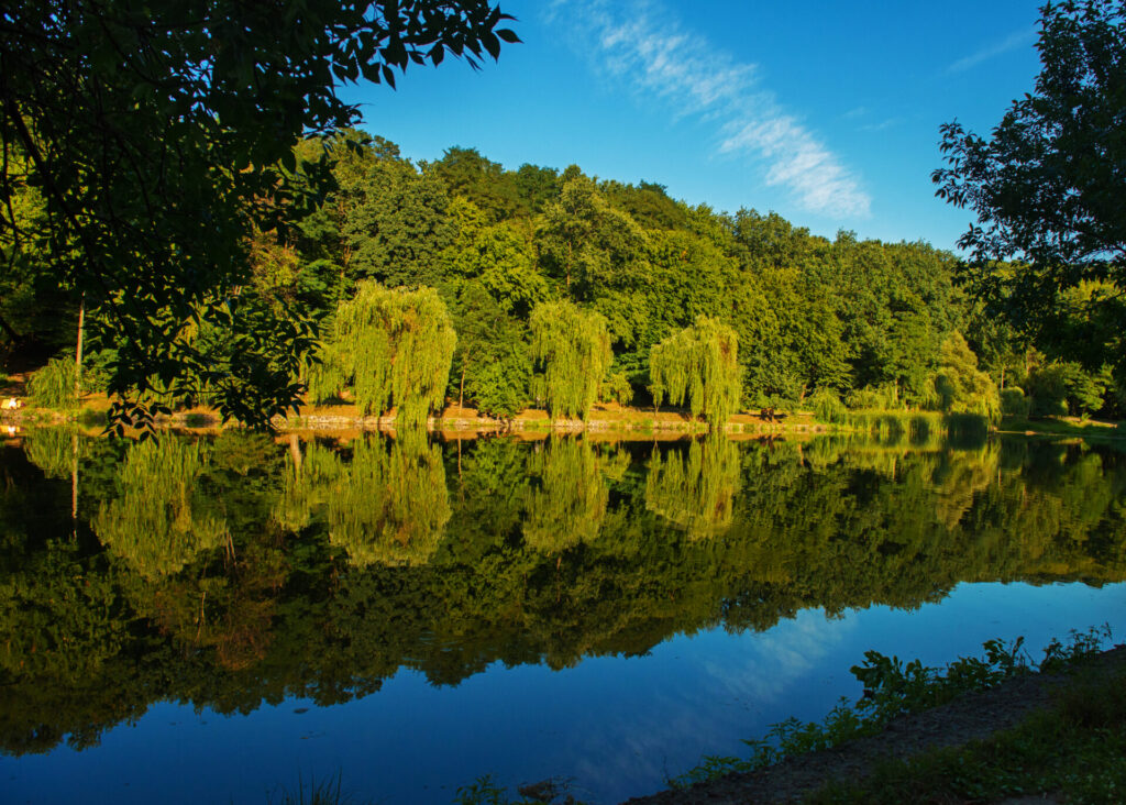 Visiter la Bourgogne, Parc naturel