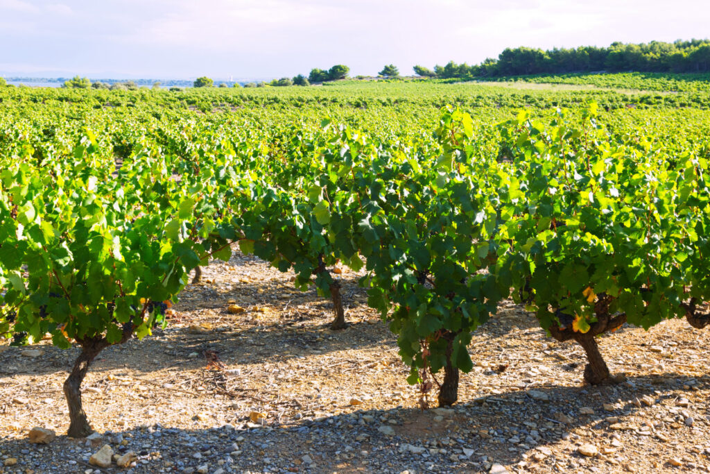Les plus beaux sentiers en bourgogne, Visiter la Bourgogne