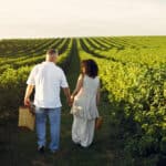 Route des Vins de Loire
