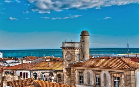 Visiter Aigues Mortes, Visiter la Camargue