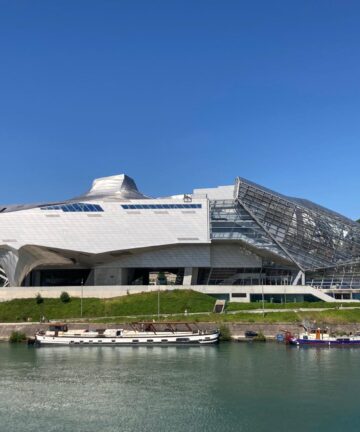 Lyon Confluence, Visite Guidée Lyon, Guide Lyon