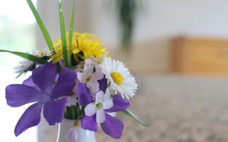 Fleurs de Nice, Visiter Nice, Guide Nice, Marché de Nice,