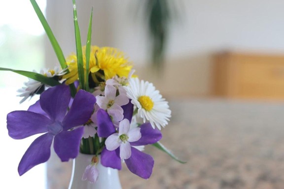Fleurs de Nice, Visiter Nice, Guide Nice, Marché de Nice,